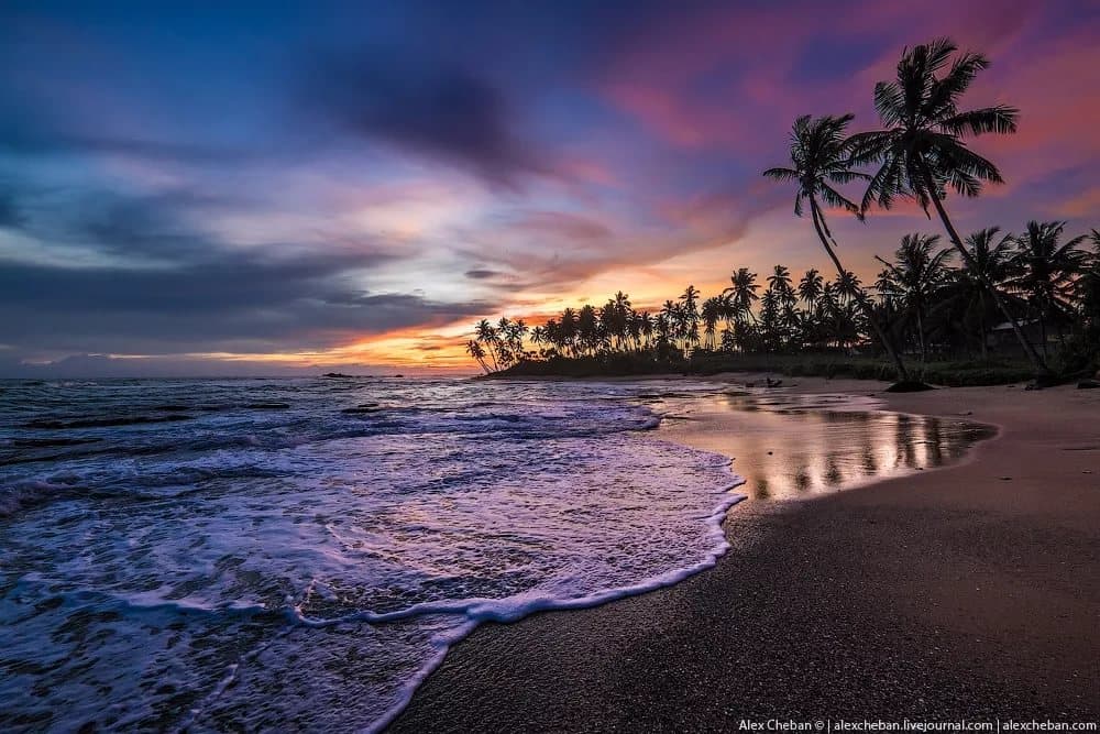 Отзывы	Blue Oceanic 4*