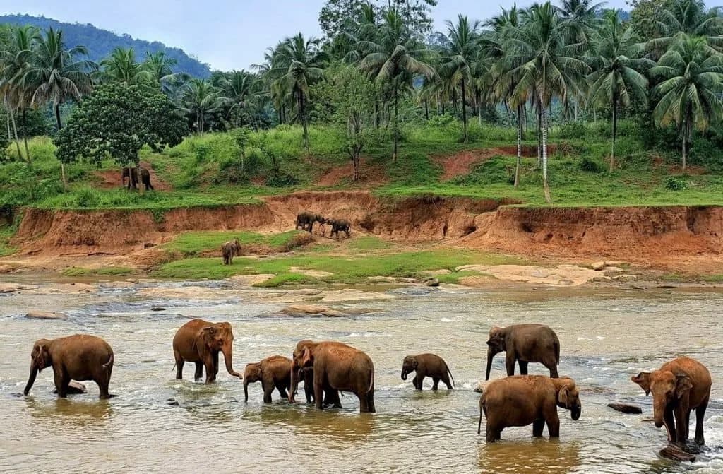 Отзывы	SAMAN VILLAS 5*