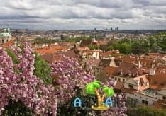Поездка в Апрельскую Прагу. Волшебное время и таинства старинных обрядов1