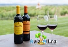 Родина изумительного и вкусного вина - Испания. Винодельческие районы1