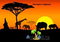Преимущества и недостатки поездки в Африку. Язычество и современная цивилизация1
