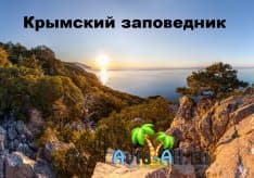 Чем богат Крымский заповедник? Флора и фауна природной зоны Крыма1