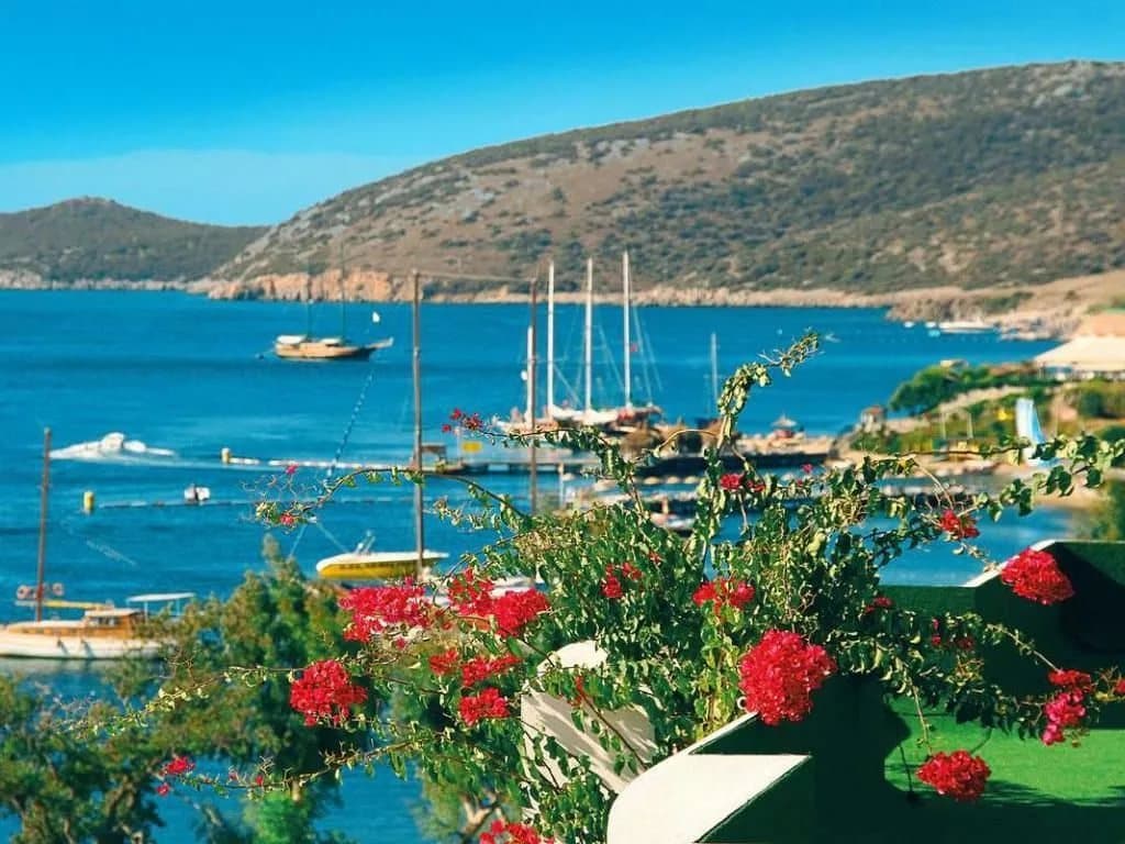Ваши отзывы Отель Elysee Beach (Элисии Бич) 3*