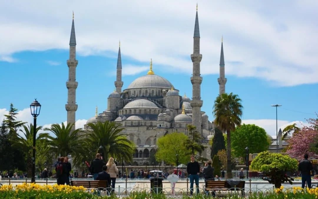 Ваши отзывы Отель Sultan Sipahi Resort (Султан) 4*