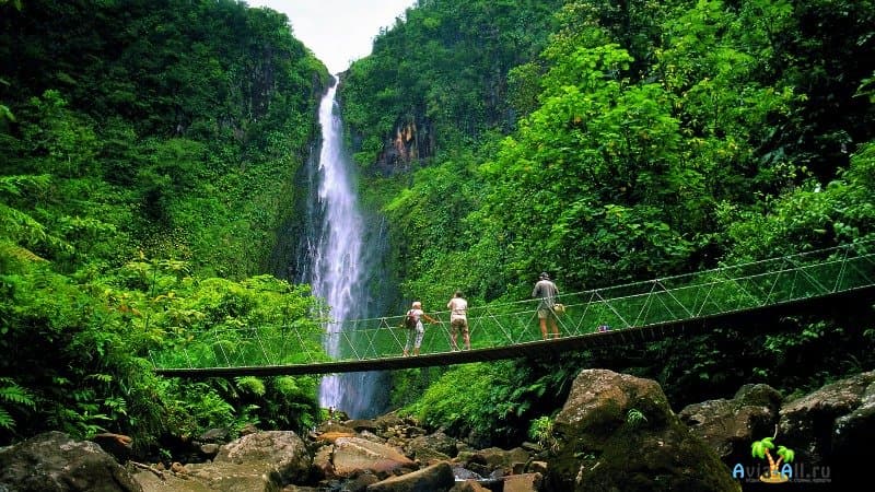 Национальный парк Гваделупа