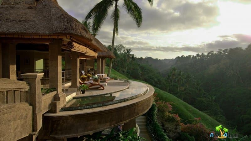 Отдых на острове с характером - Бали. Климатические особенности, флора и фауна3