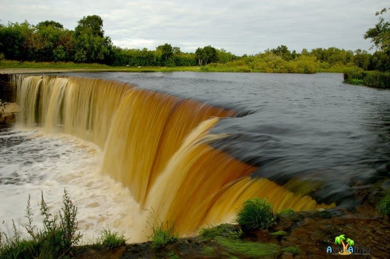 Крупный водопад Ягала в равнинной стране. Интересный объект Эстонии для посещения3