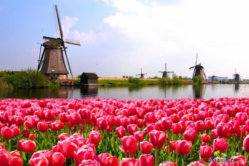 Чем примечателен отдых в Голландии (Нидерландах)? Путешествие по красивым городам Европы2