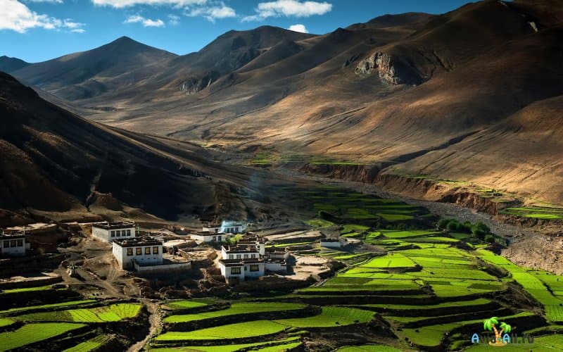 Преимущества путешествия на Тибет. Религиозная и культурная общность2