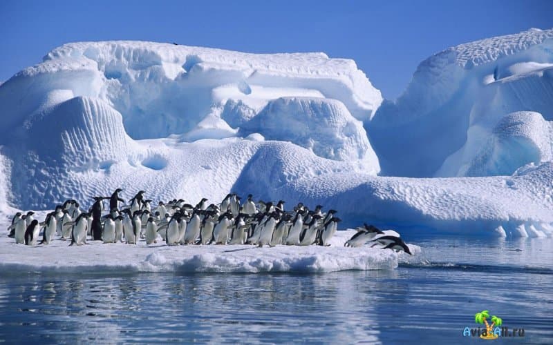 Круглогодичный ледниковый покров Антарктиды. Таинственная территория4