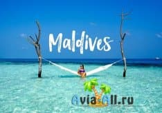Погода на Мальдивах в декабре 2020 (2019)