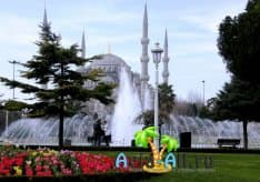 Когда наступит фестиваль цветов в Турции в 2020 году