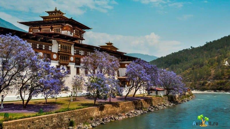 Страна Бутан фото