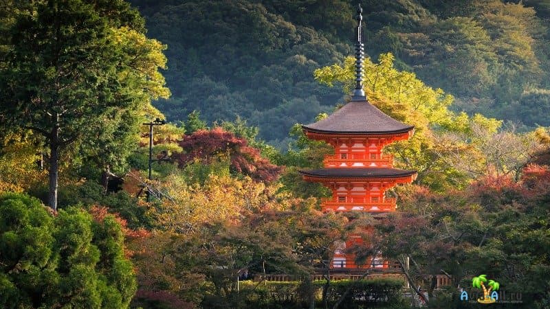 Киото фото города