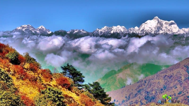 Природа Индии Гималаи