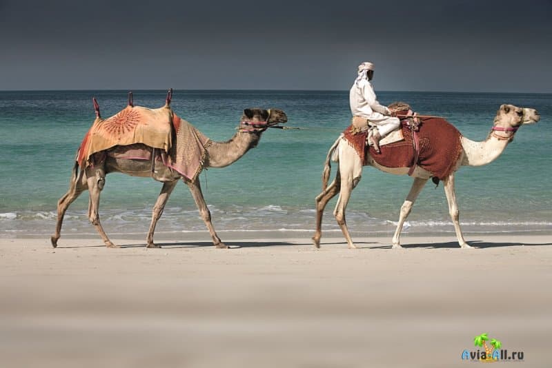 Преимущества отдыха в ОАЭ и Тунисе. Чем примечательны Южные страны?3