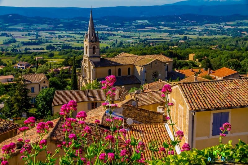 Лавандовые поля Прованса. Что нужно знать туристу о винодельческом районе Франции?3