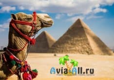 Туристический Египет