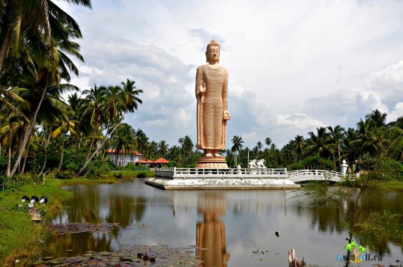 Преимущества отдыха на Шри-Ланке. Путеводитель по курортным зонам острова3