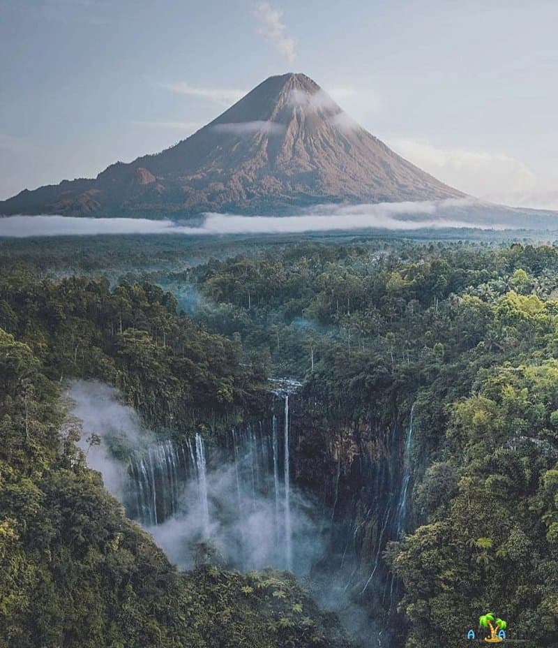 Удивительный отдых в Индонезии в марте месяце 2020: фото, отзывы