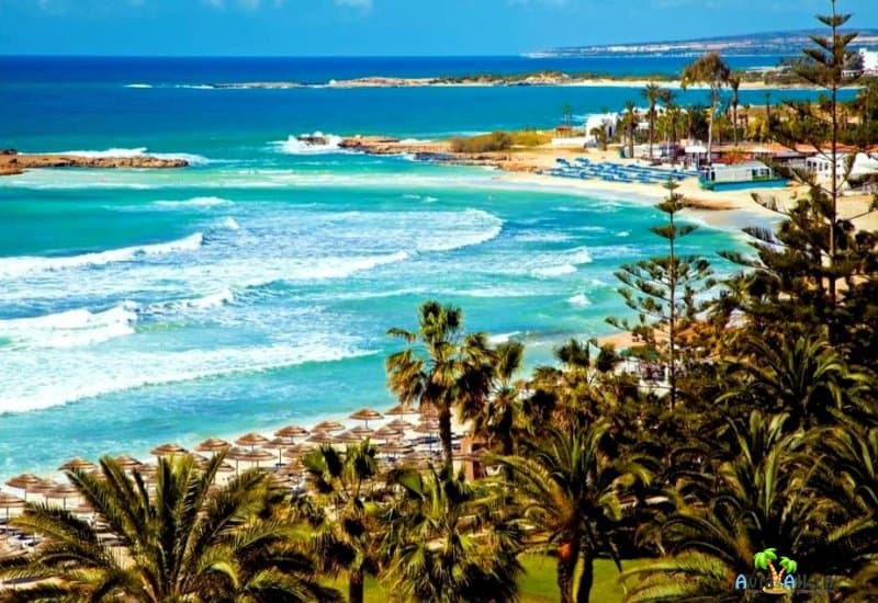 Голубые флаги на пляжах Кипра: красивее в Тунисе или на Кипре
