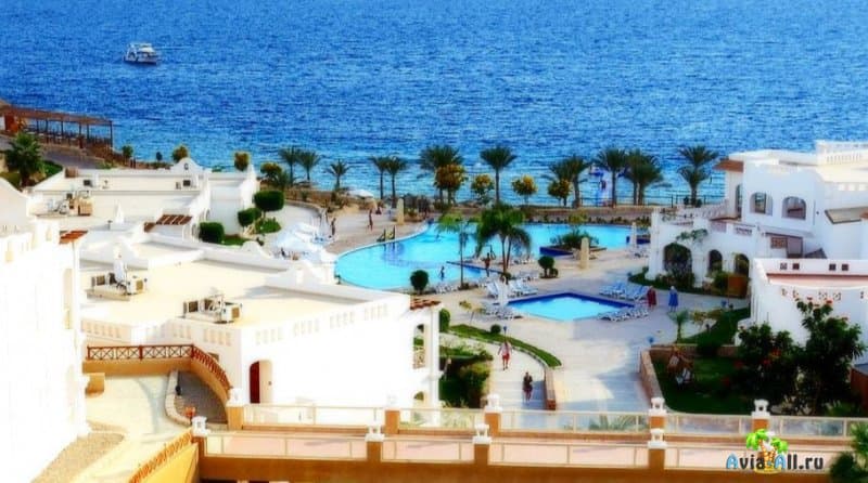 Погода в Египте в ноябре 2020: какой курорт выбрать для отдыха?
