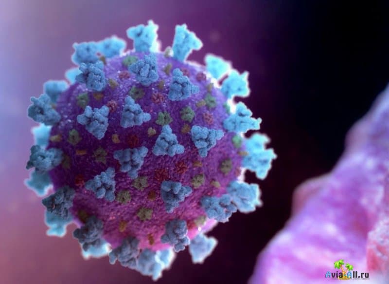Вторая волна коронавируса осенью 2020: что нового говорят власти?