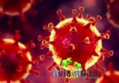 Что нового говорят власти о второй волне коронавируса осенью 2020