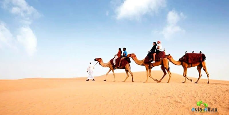 Сафари в пустыне в декабре в Дубае 2020
