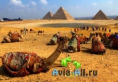 Отдых в Египте на Новый год 2021