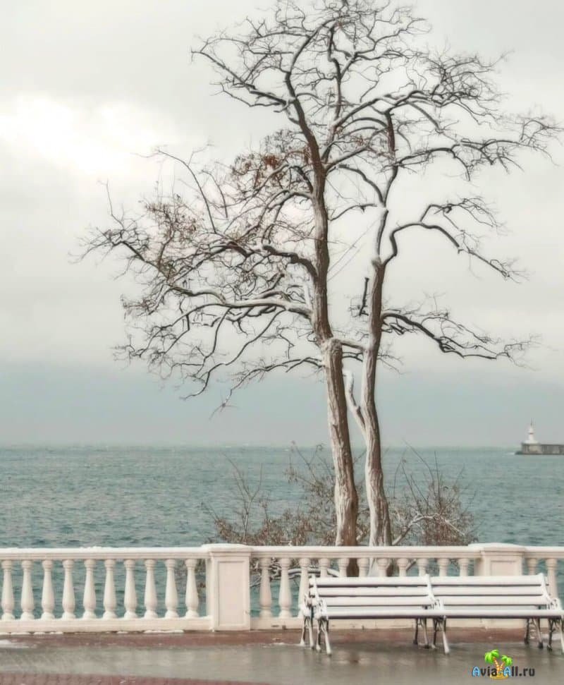 Отдых в Крыму зимой 2021: погода, развлечения