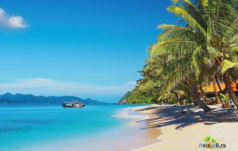 Сложности отдыха в Тайланде: новые требования к туристам. Налоги. Ограничения штрафы и угрозы ареста.