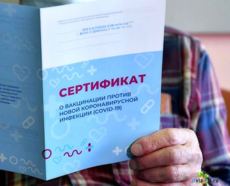 Вакцинация, ковидный паспорт и сертификат: что будут вводить в России 2021