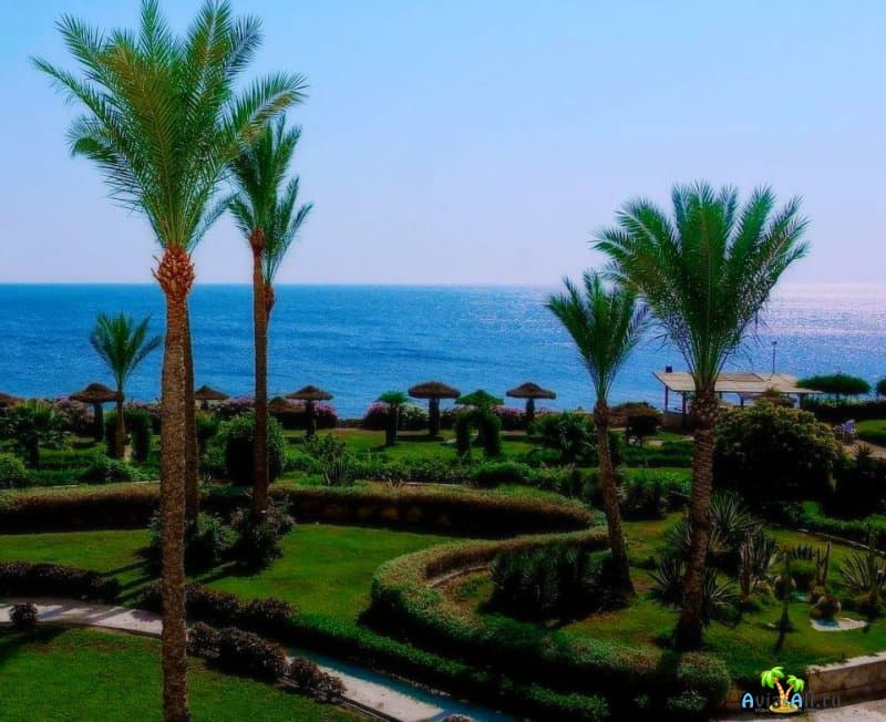 Лучший отдых в Египте 2021 весной: погода, туры