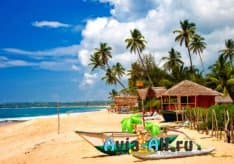 Особенности отдыха на Шри-Ланке в апреле 2021: курорты, цены, туры, погода, плюсы поездки
