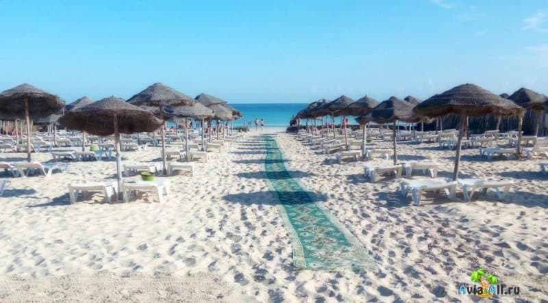 Лучший отдых с детьми в Тунисе 2021: на каком курорте смотреть отели?