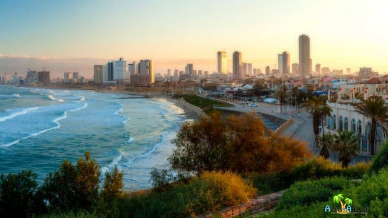 Израиль изменил дату открытия и условия въезда для россиян 2021: когда можно поехать отдыхать на море? Прямые рейсы в Эйлат, Тель-Авив