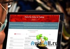 Обязательная анкета в Турцию 2021: как выглядит и зачем она нужна