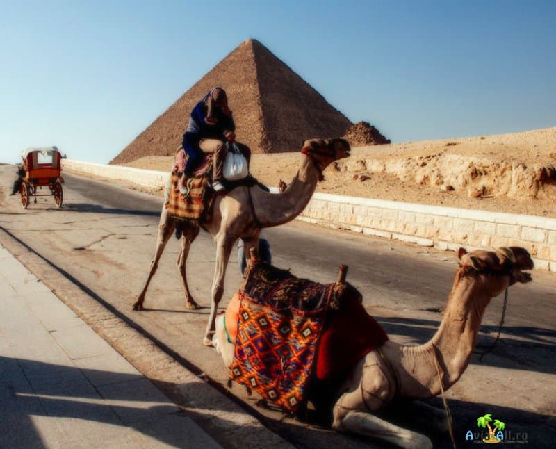 Отдых в Египте летом 2021 среди пирамид. Прямые рейсы