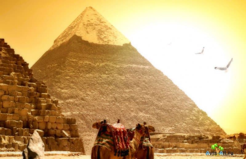 В Египет прямым рейсом можно будет поехать летом 2021. Прямые рейсы в Грецию — стар продаж