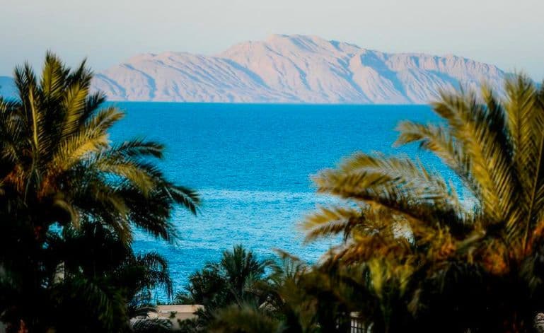 Где лучше отдыхать в Египте в декабре 2021? Выбор курорта и отеля