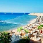 Где отдыхать в Египте в декабре 2021? Выбор курорта и отеля