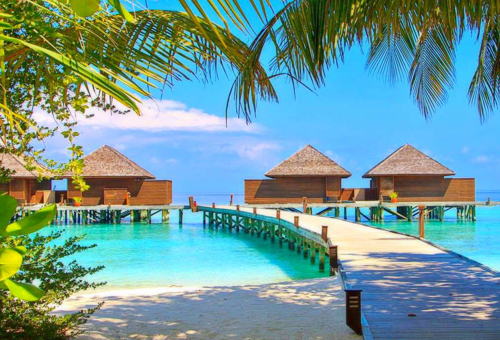 В каком месяце самые дешевые туры на Мальдивы