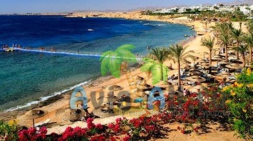 Погода в Египте в январе 2022: можно ил купаться?