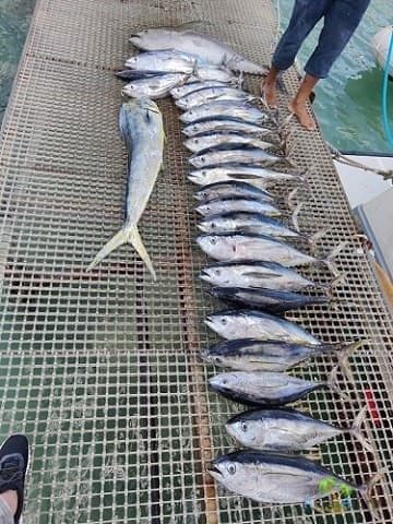 Рыбалка На Маврикий