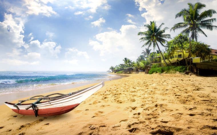 Сколько стоит отдых на Шри-Ланке 2022