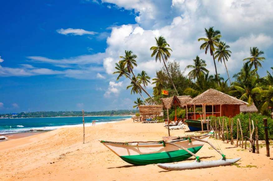 Когда дешевле отдыхать на Шри-Ланке 2023? 