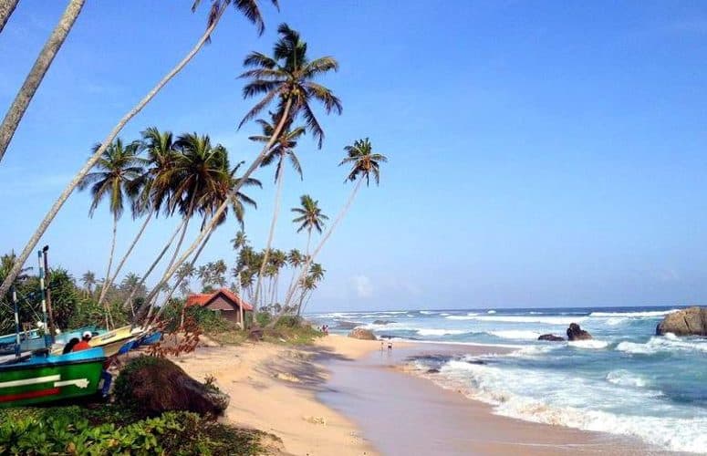 Все об отдыхе на Шри-Ланке в феврале