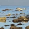 Почему в Анталии пересыхают пляжи и уходит море?