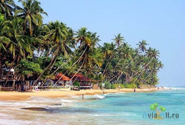 Отдых на Шри-Ланке в марте